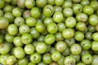 Phyllanthus emblica | Indian Gooseberry | 20 Seeds