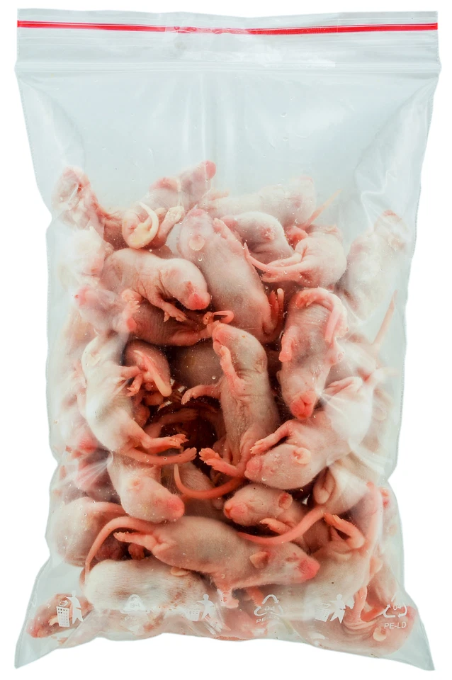 FROSTFUTTER Maus Speck 5 Tage - Menge: 50 Stück