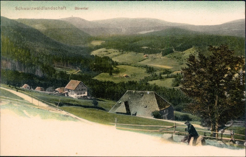 Ansichtskarte Bärental-Feldberg Partie im Bärental 1905 - Bild 2 von 3