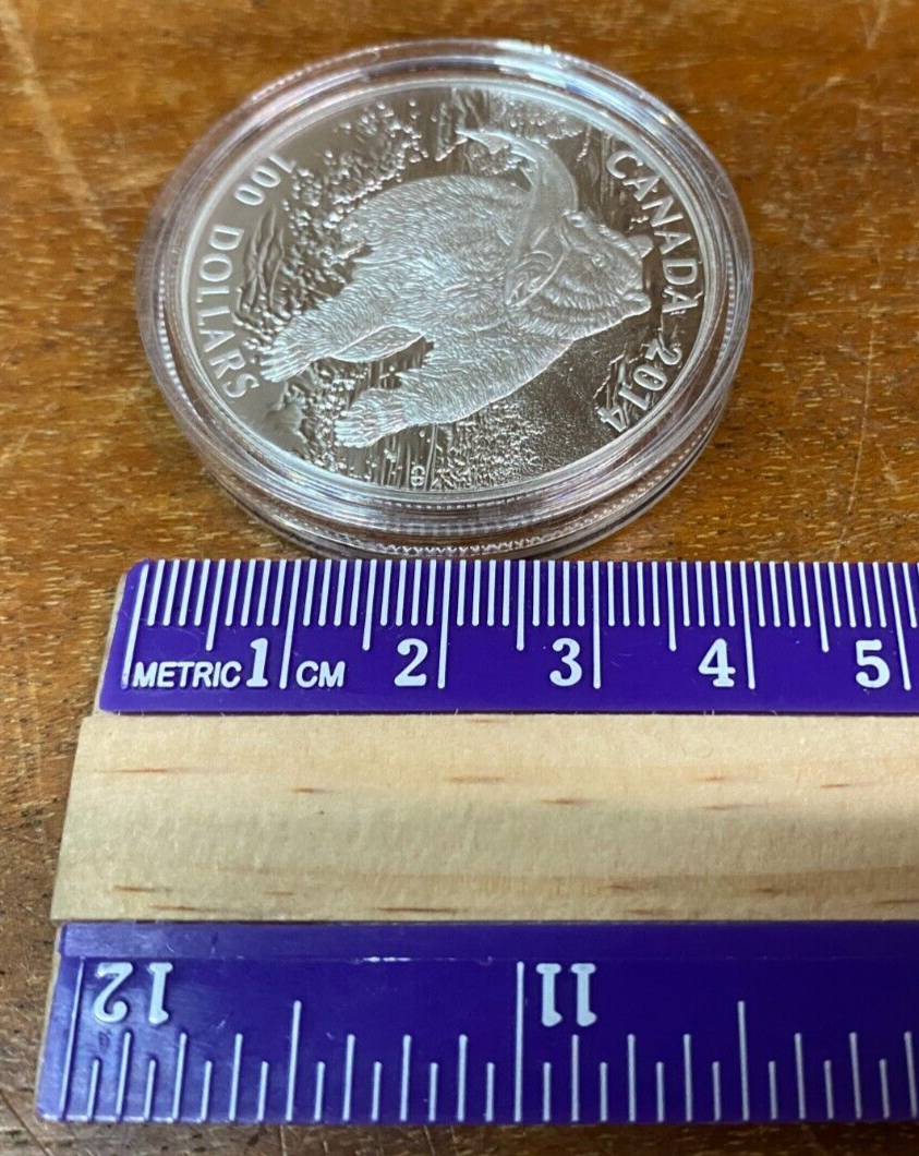 Picture 16 of 17