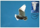 Snowy Owl Bubo Scandiacus Large White Arctic Bird Finland Maxi FDC Card 1998