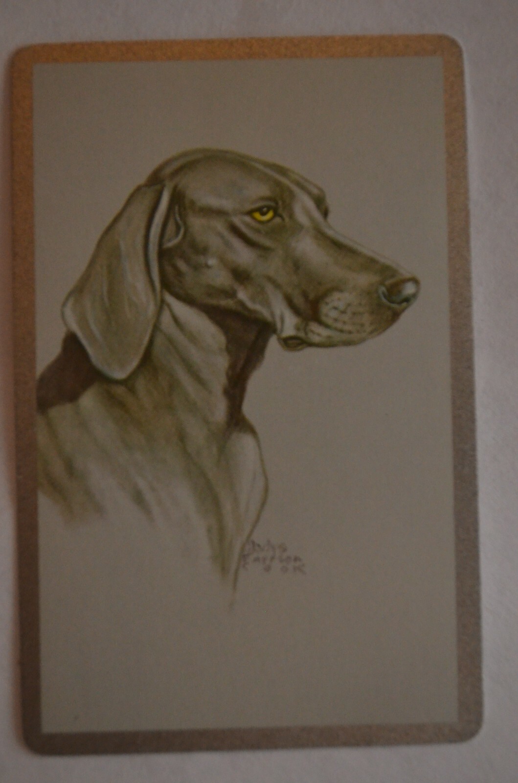Bild 2 von 4