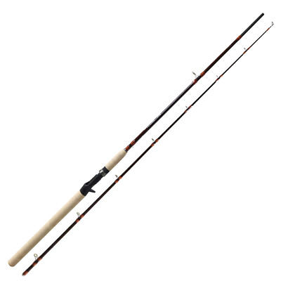 Roy Fishers Atrium X Jerk Bait Baitcast Rute 2.10m 50-120g