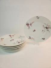 6 Homer Laughlin Limoges France Flowers Greenery 7 Inch Antique Plates 1950s