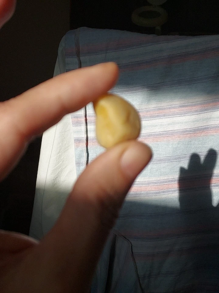 Ancient Natural Clam Pearl - Image 3 of 4