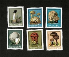 Poland 1980 - Mushrooms, Flora, Fungi - Set of 6 Stamps - Scott #2397-2402 - MNH
