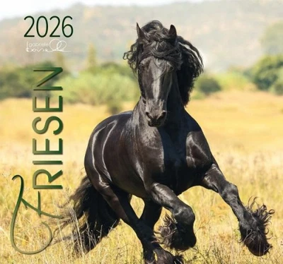 EDITION BOISELLE Friesen 2026|Kalender