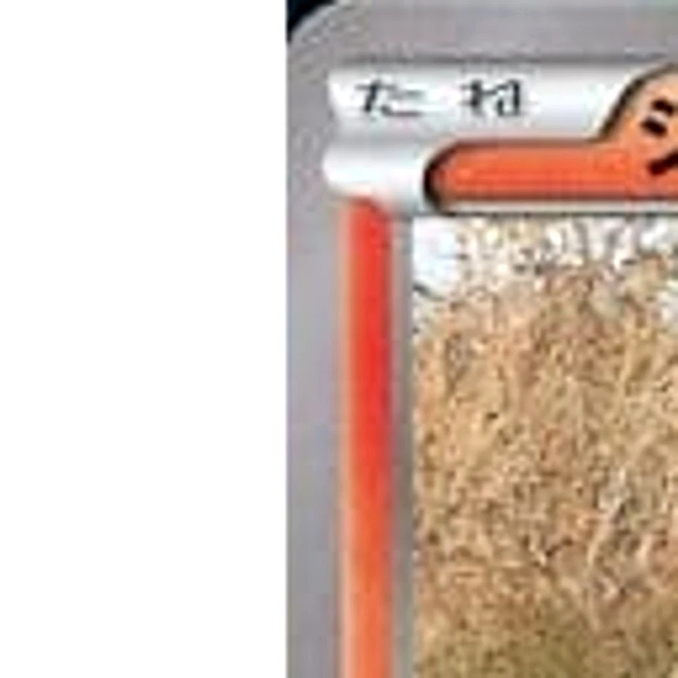 Pokemon Litleo 005/049 MMB Power Style M Master Deck Build Box Japanese Card - Image 2 of 4