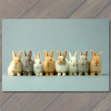 Art Print Rabbit Bunnies Posing Line Funny Hare Pure Cuteness Adorable Studio