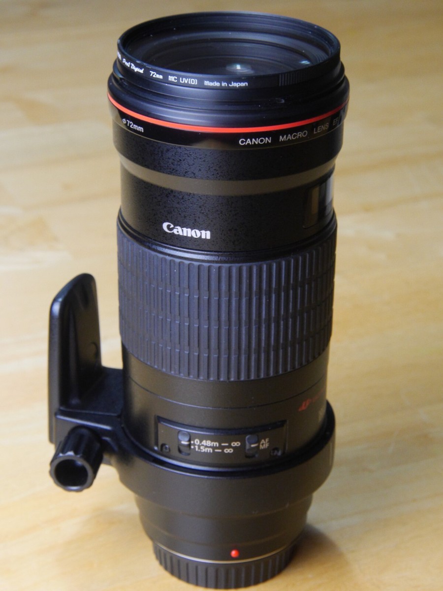 Canon EF 180mm F3.5 MACRO L USM ｜I209 Canon EF 180mm f/3.5L Macro USM | Macro Lens