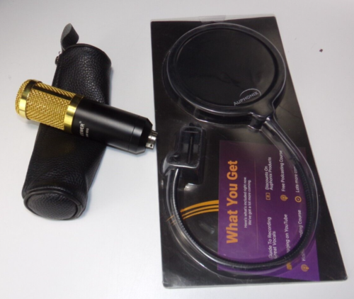 Microphone à condensateur professionnel Neewer NW-800 or - étui en cuir et filtre anti-pop - Photo 1 sur 7