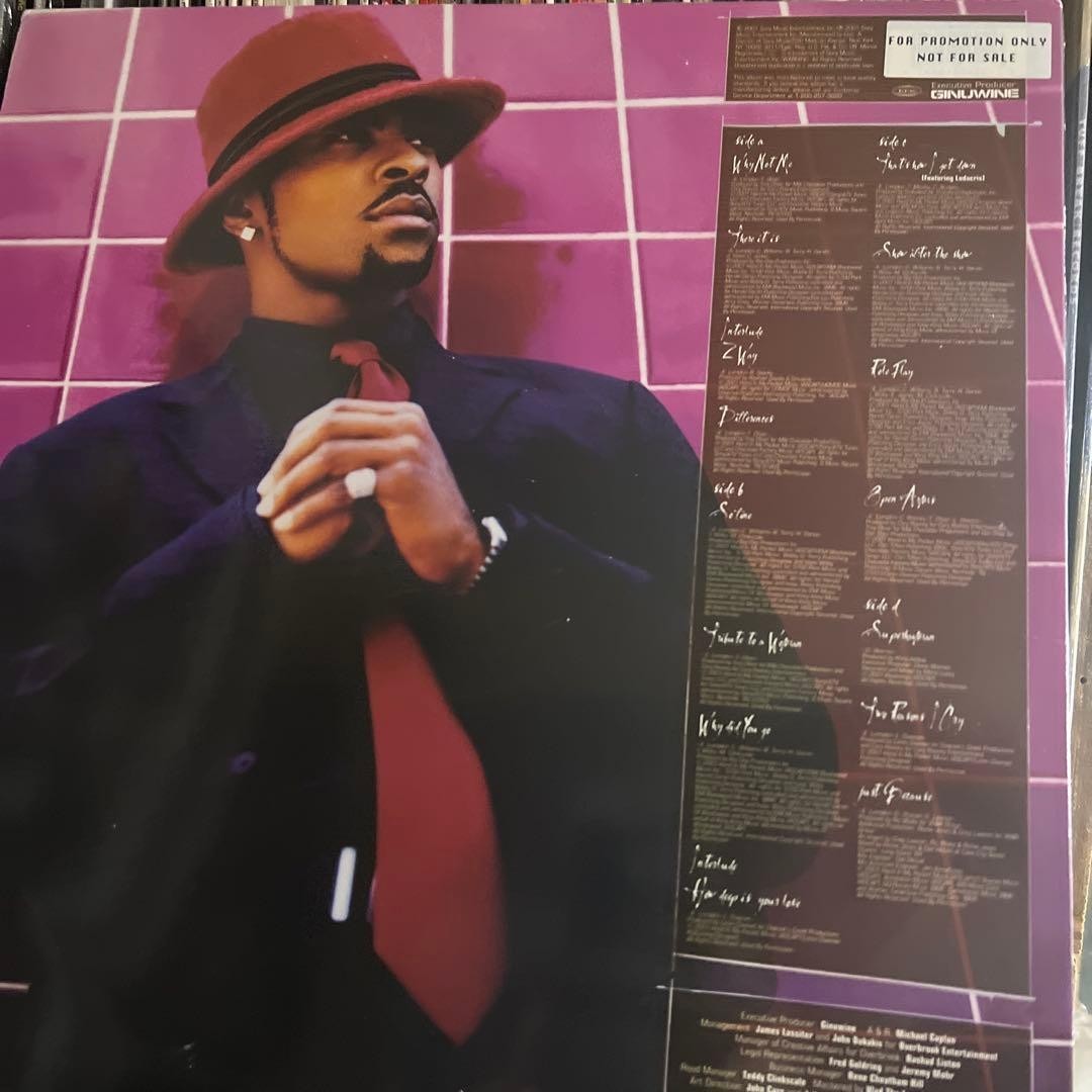 Ginuwine / The Life 2001 US Original 2LP Vinyl Ludacris, Timbaland