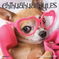 Chihuahua Rules 2026 7" x 7" Mini Wall Calendar