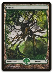 Forest (249) - Full Art - Zendikar