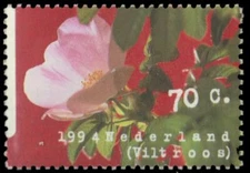 NETHERLANDS 853 - Wild Flowers "Downy Rose" (pb45615)