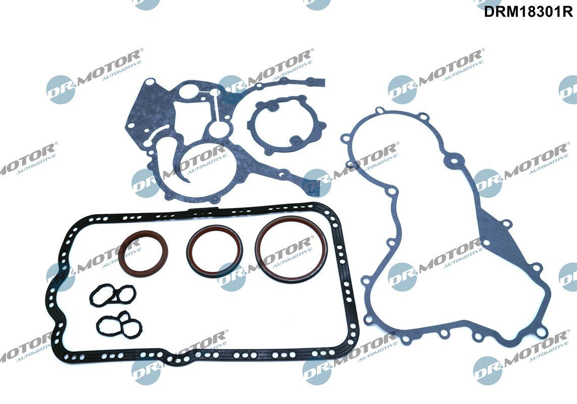 DRM18301R Dr.Motor Automotive Gasket Set, crank case for NISSAN,OPEL,RENAULT,VAU