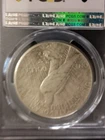 1925-P Peace Silver Dollar PCGS XF 45