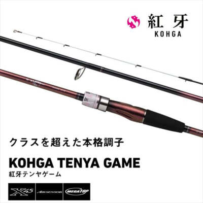 ロッド DAIWA TENYA GAME X MH-240 Daiwa Kohga Tenya Game MH-240B/ K (Baitcasting 2 Piece) | eBay