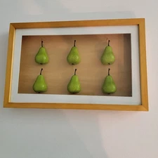 Decorative PEAR Fruit Shadow Box. Nice Wood Frame. 16.5" X 10.5".