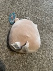 Squishmallow WARREN the WARTHOG WILD BOAR PLUSH NEW — photo 5