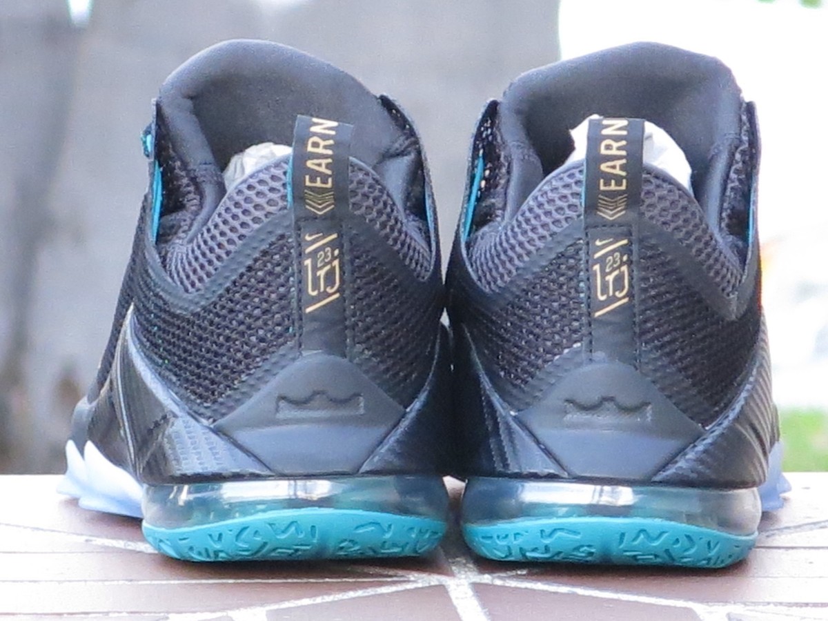 Nike Lebron XII Low Men's Basketball Sneakers 724557-070 | eBay