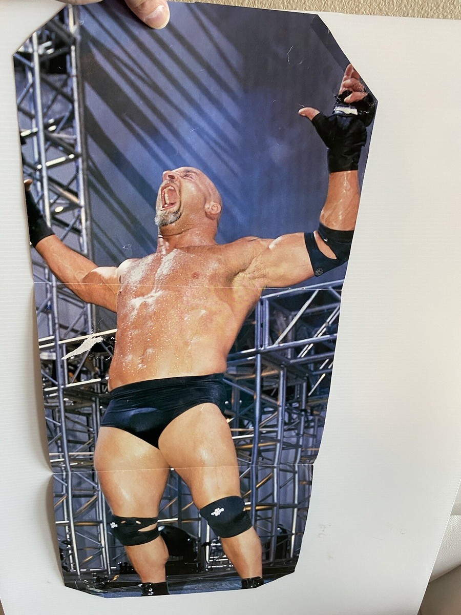 WCW Goldberg フォトフレーム 額装写真 WCW PHOTOFILE Goldberg WCW
