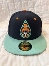Ashville Tourists MILB NE 2023 Copa De La Diversion Fitted Hat