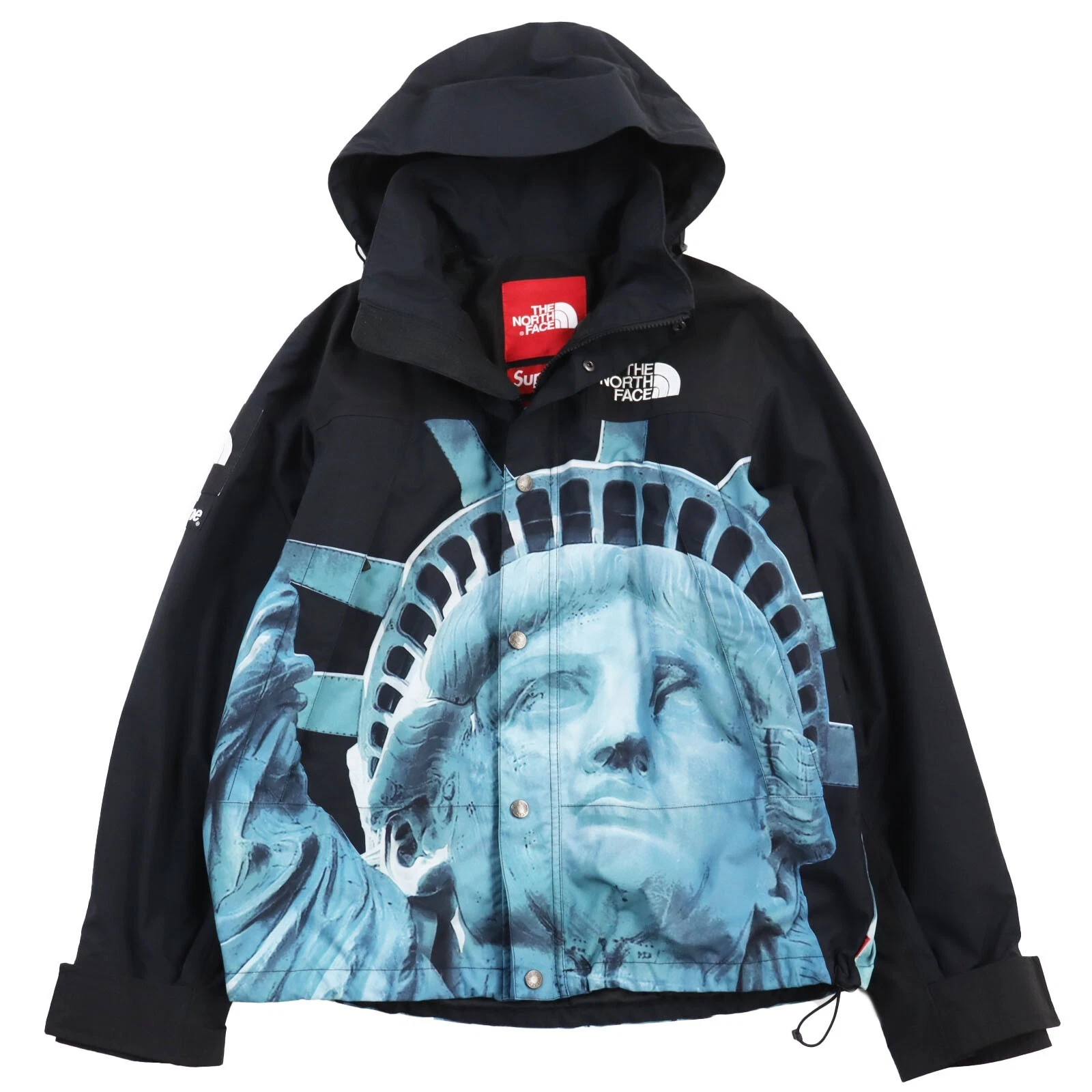 Veste de montagne Supreme X THE NORTH FACE 19AW NP61902I Statue de la Liberté noire S