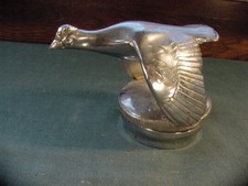  on The Hot Collector