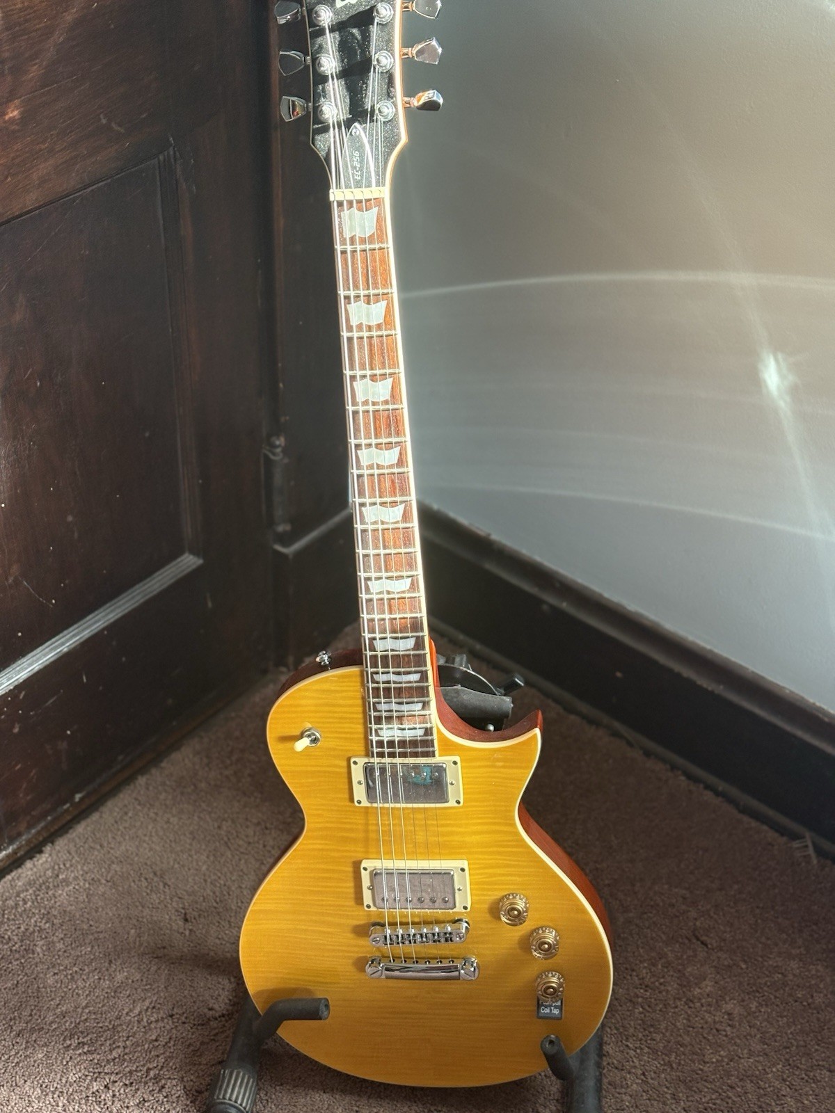Ibanez Ec-256 Electric Guitar 2011
