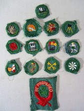 Lot Of 14 Vintage 1940s Girl Scouts Original Patches Badges Be Prepared