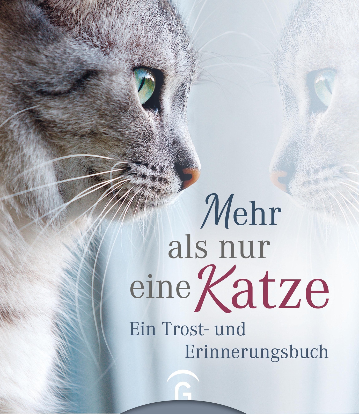 Mehr Als Nur Eine Katze Kristin Hoffmann