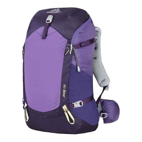 doughnut backpack macaroon mini Doughnut: JanSport Student 17.5
