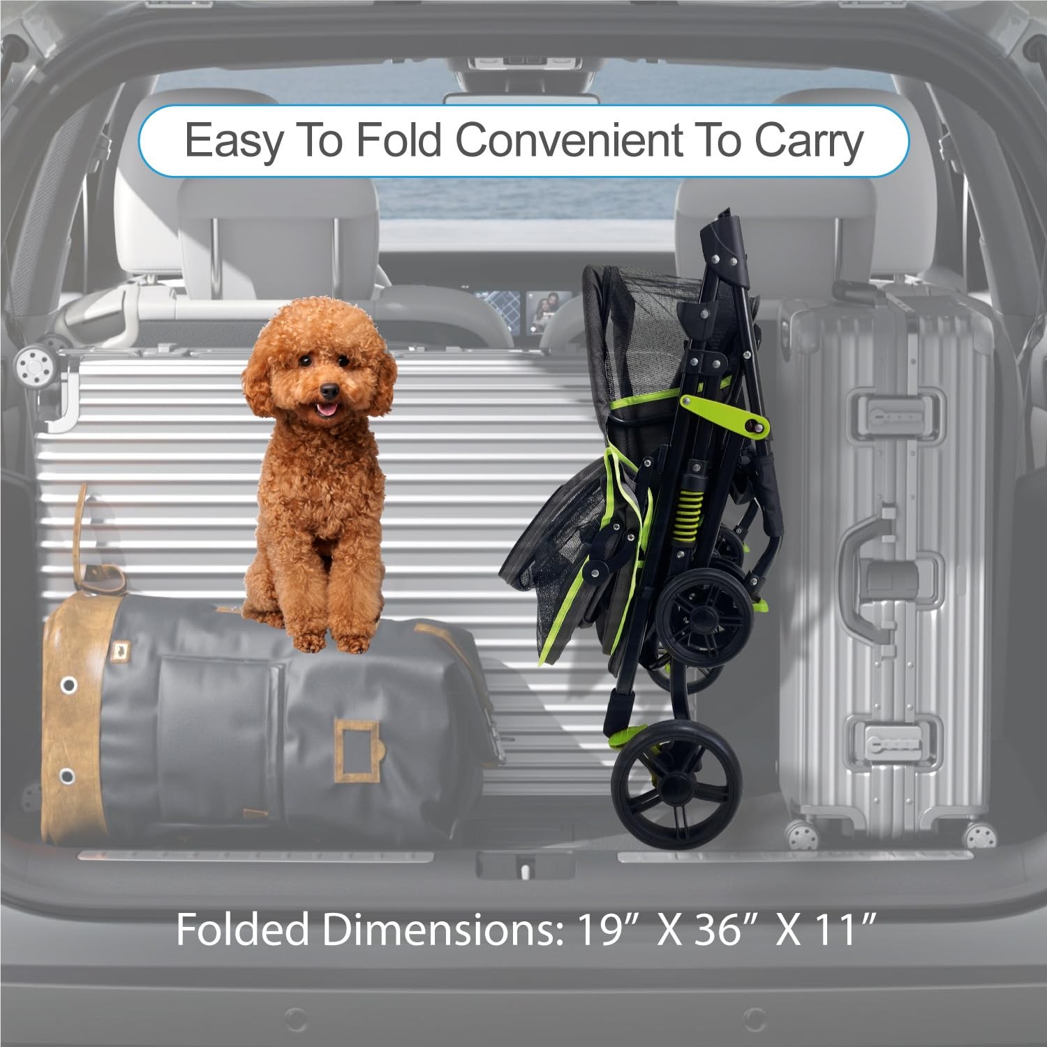 22” Buddy Buggies Foldable Pet Stroller - Shock Absorbing Frame with Storage ...