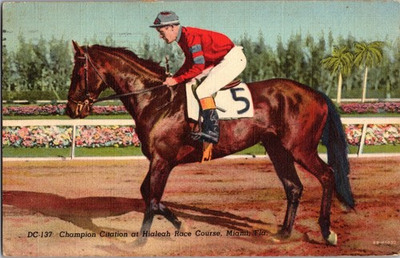 #ad Postcard Champion Citation Hialeah Race Course Miami Florida Linen Posted 1949 $4.99