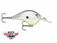 Rapala DT06 - Dives to 6'- Disco Shad