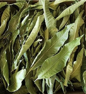 DRY MANGO LEAVES Sukhi Aam Patti Leaves (100 Grams) Free ship