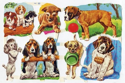 Glossy pictures wafers scrap MLP 1544 dogs RARE old sheet 24 cm