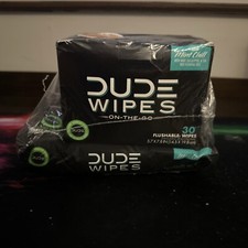 DUDE Wipes - On-The-Go Flushable Wipes - 1 Pack, 30 Wipes - Mint Chill  Refill