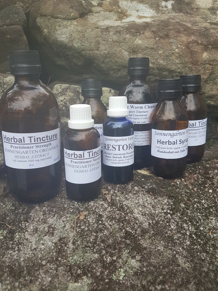 The Big Cleanse//Parasites Worms Formula//Extract//Tincture//Herbal ...