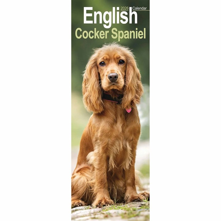 Otter House English Cocker Spaniel Slim Calendar Planner Month to View 2026