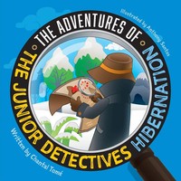 Chantal Tomé | The Adventures Of The Junior Detectives | Taschenbuch | Englisch