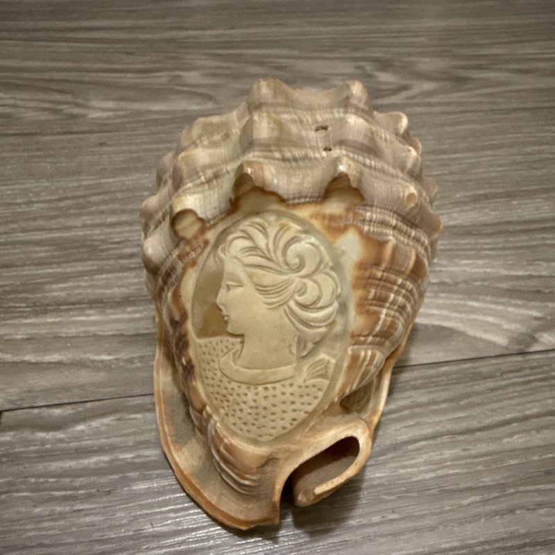 Vintage Italy Hand Carved Cameo Colorful Seashell Conch Lovely Countess
