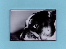 BULLDOG 2X3 FRIDGE MAGNET DOG PUPPY CANINE CUTE ENGLISH FLAT NOSE FRENCH HEFTY