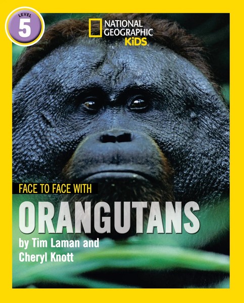 Face To Face With Orangutans | Level 5 | Cheryl Knott (U. A.) | Englisch | Buch-image