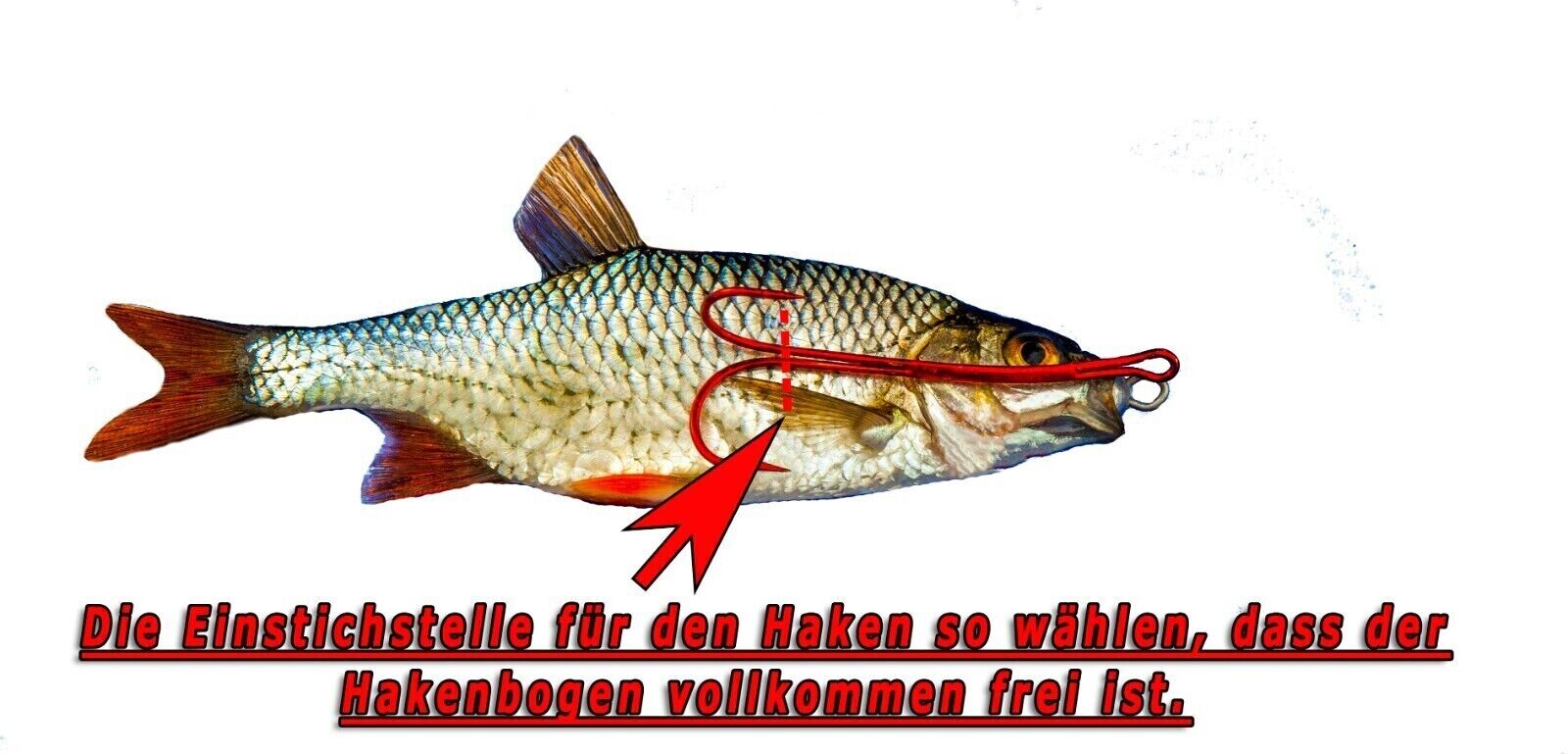 Bild 7 von 12