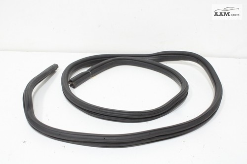 2018-2023 FREIGHTLINER CASCADIA FRONT LEFT DOOR BODY WEATHERSTRIP SEAL OEM