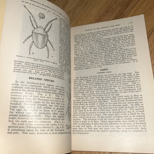 1929 BIOLOGY OF THE EUROPEAN RED MITE IN THE PACIFIC NORTHWEST - Picture 3 of 9