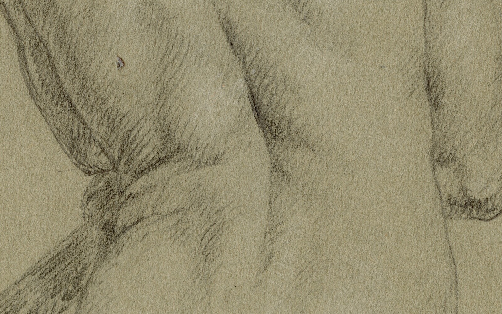 Picture 7 of 14