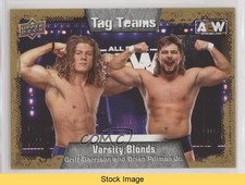 2022 AEW All Elite Wrestling Tag Teams Gold Griff Garrison #83 Patch READ 1ev2